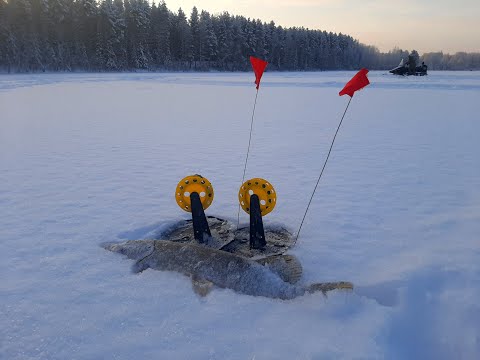 Видео: Рыбалка на жерлицы.
