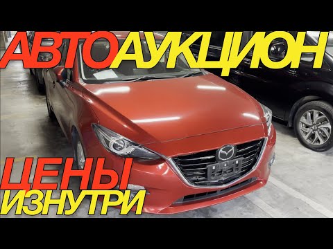 Видео: РЕАЛИИ ЯПОНСКИХ ТОРГОВ 2024 НОЯБРЬ/ MAZDA AXELA CX-3 TOYOTA COROLLA FIELDER SUZUKI SOLIO BANDIT