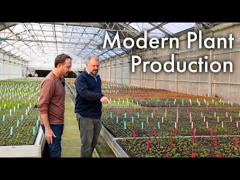 Видео: Экскурсия по удивительному питомнику тканевых культур