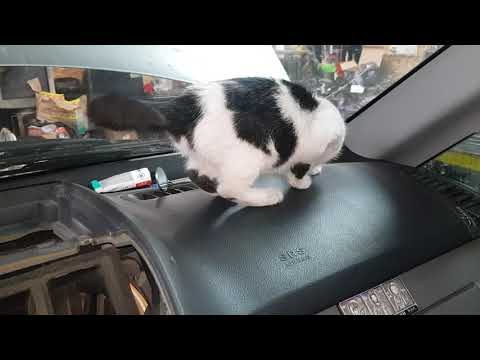 Видео: Vito 639       Антифриз в салоне ! снимаем трубки!    Печки, не снимая панэли,,...