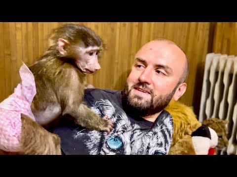 Видео: Анфиса и Финик В ШОКЕ ОТ НОВОГО ГОСТЯ в нашем теремке! 
