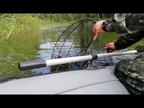 Видео: Нашёл браконьерские верши! Линя забрал себе на зажарку.