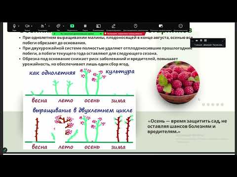 Видео: Осенняя подготовка сада к зиме