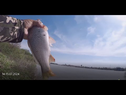 Видео: Baliq ovi.Sirdaryo.14-15.07.2024 й