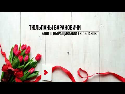 Видео: Обзор теплицы для выгонки тюльпанов. Часть 2. Отопление. Процесс роста