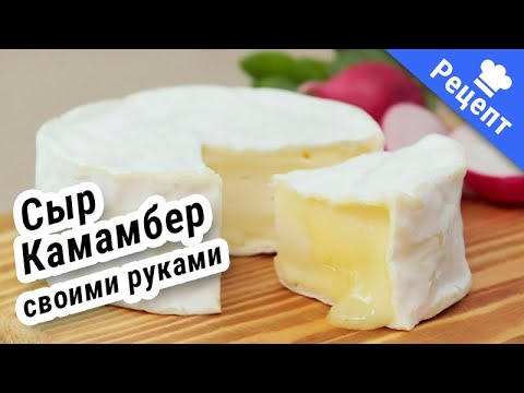 Видео: ФРАНЦУЗКИЙ СЫР "Камамбер", нежный и вкусный!  #Рецепт
