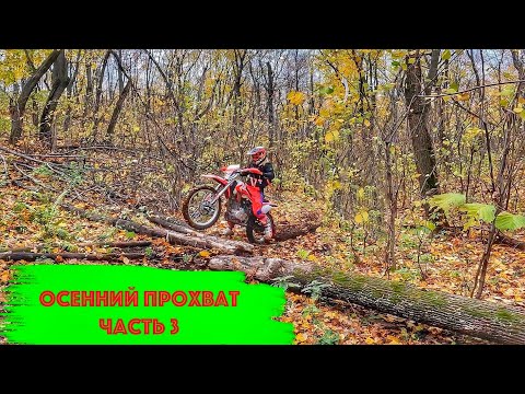 Видео: Сломали три мотоцикла.Осенний прохват часть 3.Kayo T2 Enduro #enduro #прохват #эндуро #Роман_Эндуро