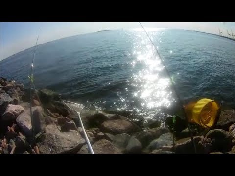 Видео: Рыбалка на финском заливе. Ловим на фидер.