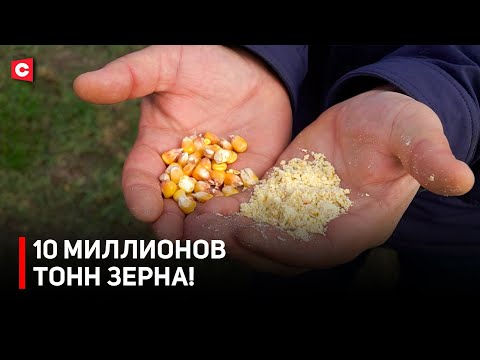 Видео: РЕКОРДНЫЙ урожай в Беларуси! | Каких успехов достигли аграрии в 2025 году?