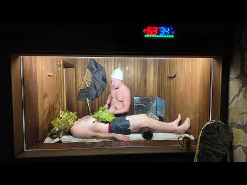 Видео: Антон Греков г. Москва зачёт Домашний Банщик