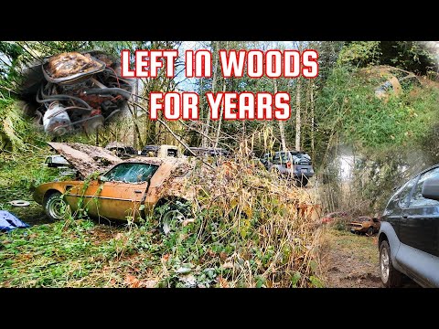 Видео: СГНИЛ ИЛИ НЕТ?? GOLD TRANS AM 1980-х годов: Заведется ли он после многих лет простоя в лесу? Можн...