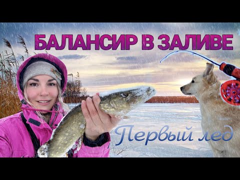 Видео: ПЕРВЫЙ ЛЕД 2024-2025 на деревенской речке! Ловлю ХИЩНИКА НА БАЛАНСИР в заливе!