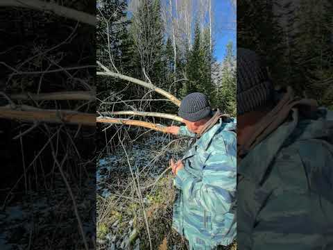 Видео: 18 октября 2025 г.