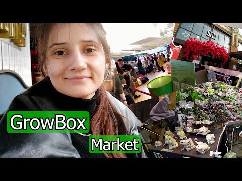Видео: GrowBox Market/ГроуБокс Маркет. Ура! - Весна! И мой улов))