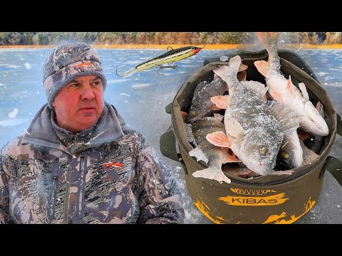 Видео: ЛОВЛЯ ОКУНЯ НА БАЛАНСИР. ПРАКТИЧЕСКИЕ СОВЕТЫ.