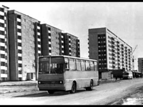 Видео: выпуск #99 11 ый автобусный маршрут