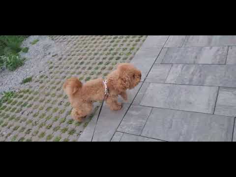 Видео: 24 августа 2025 г.