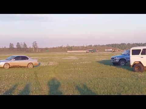 Видео: Чурапчы ипподромугар ат сүүрдүүтэ.2400 м 8.06.2024