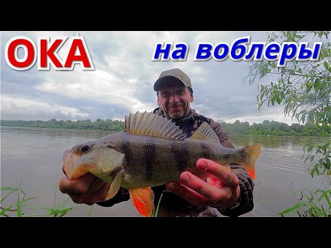 Видео: Вот это ГОРБАЧ! Рыбалка на воблеры на ОКЕ.