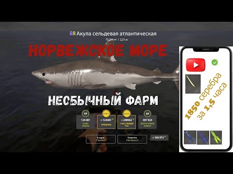 Видео: ОТЛИЧНЫЙ ФАРМ на необычную оснастку!!! НОРВЕЖКОЕ МОРЕ!!!