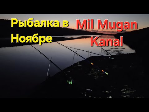 Видео: «Проверяем, клюёт ли в ноябре! Рыбалка с ночёвкой у костра»