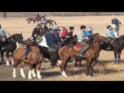 Видео: Кокпар Шардара Қызылқұм ауылы (Мусай Бижанов) 04.12.201ж. 1-бөлім