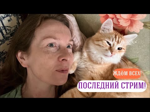Видео: Прямой эфир - любые вопросы!