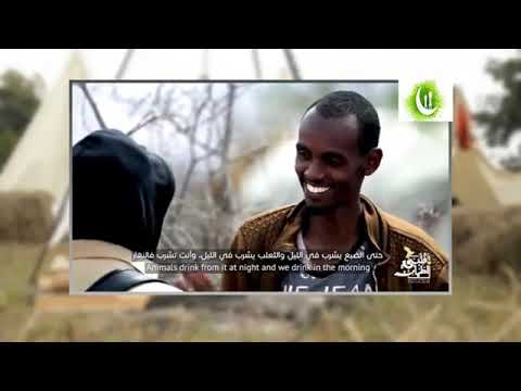 Видео: қалби Ором 7