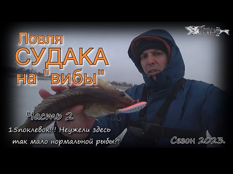 Видео: Ловля судака на вибы. 15 поклевок!!! Часть 2. Сезон 2022-23
