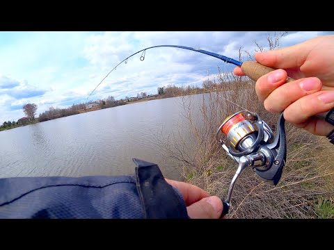 Видео: Когда ОНО выпрыгнуло, все разбежались! Трофейная щука на ультралайт! Судак и жерех. А хотел голавля