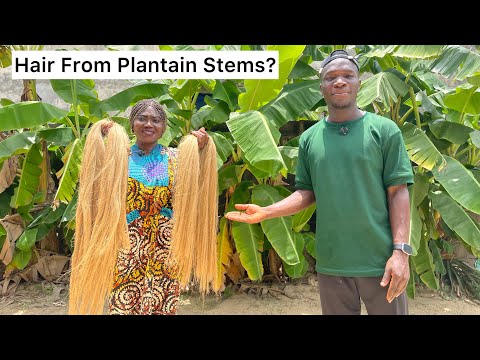 Видео: Леди, ставшая миллионершей, делает волосы, сумки и обувь из стеблей подорожника