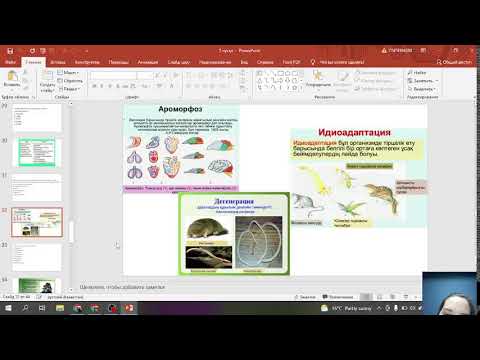 Видео: Прямая трансляция пользователя Биология iStudy