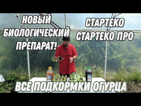 Видео: Новый биологический препарат. Все подкормки огурца в рассаде