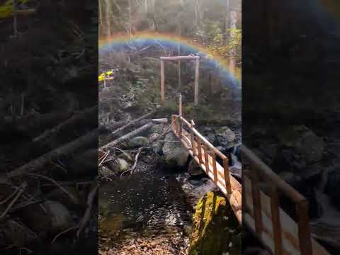 Видео: Восхождение Гора Пидан (Ливадийская), Приморский край