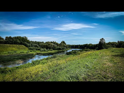 Видео: Жаркий голавлиный июль 2021, день Smith Camenusi, ловля летнего голавля на микроречке.