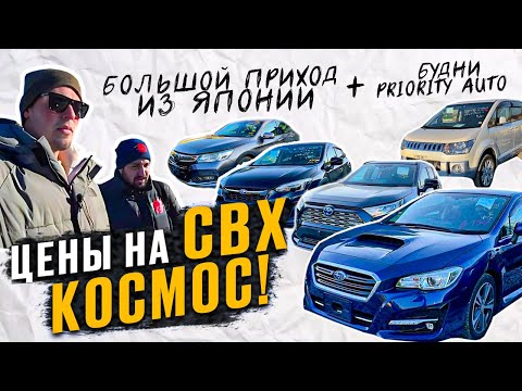 Видео: ДИКИЕ цены на СВХ 😱 Большой вывоз до ночи 😱 Очереди на лаборатории 👀 закулисье Приорити Авто