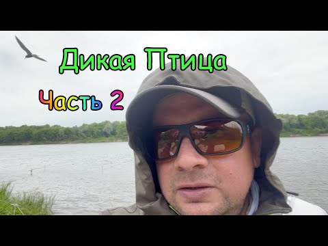 Видео: Рыбалка на Оке! Ультралайт. Ловля с Берега.Рыболовные приманки ЧАСТЬ 2