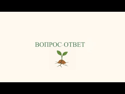 Видео: Вопрос ответ - Эфир с Нутрициологом