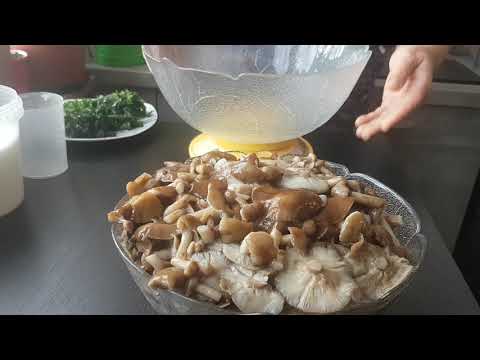 Видео: Посмотрите..Солим грибы по бабушкиному рецепту-пальчики оближешь,хрустящие соленые грибы.345