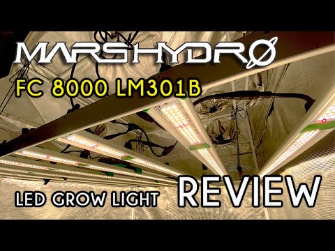 Видео: Обзор Mars Hydro FC 8000 LM301B и тестирование PAR | МОЩНЫЙ!