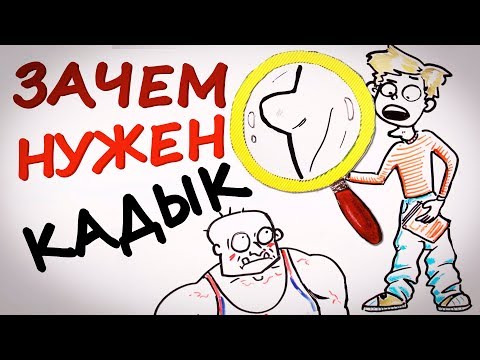 Видео: Зачем нужен КАДЫК? — Научпок