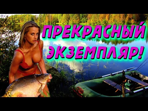 Видео: Девушки на рыбалке//Приколы на рыбалке//Зимняя рыбалка//Случаи на рыбалке//Женская рыбалка//
