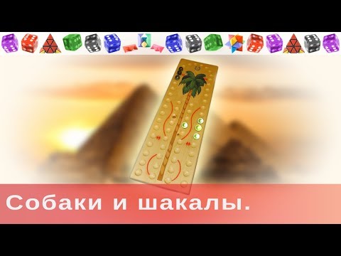 Видео: Собаки и шакалы.