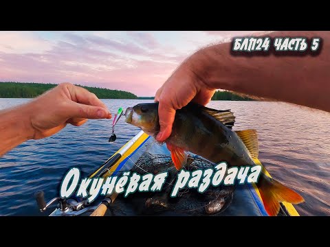 Видео: #5 Окунёвая раздача | Навстречу северным ветрам 2024