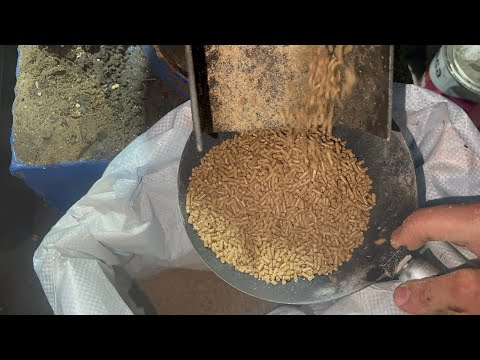 Видео: Экструдированный Гранулированный 2 мм Комбикорм Для Цыплят Бройлеров Предстартовый 0-10 дней