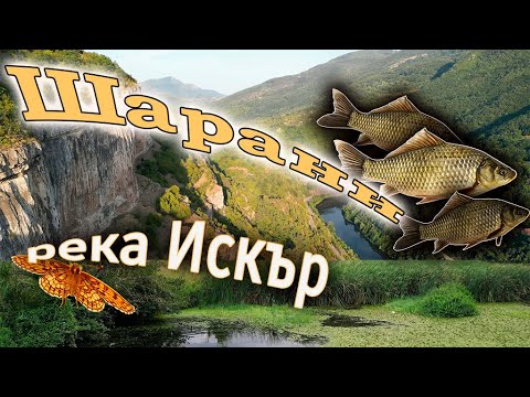 Видео: Шарани на река Искър.Фотосафари.Лакатнишките скали.