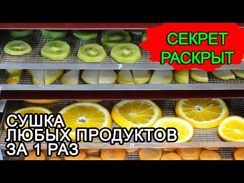 Видео: Сушка овощей, фруктов, ягод, трав, чая в инфракрасной сушилке за 1 раз. Обзор ик сушилки ФлексиХИТ