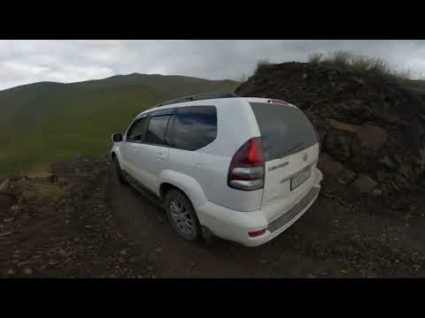 Видео: ШАРИ 24.08.2020