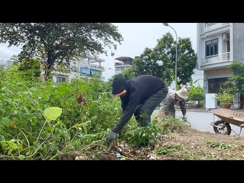 Видео: Преображение тротуаров и газонов для более яркого района!