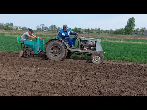 Видео: Посадка картоплі 2025р 😭